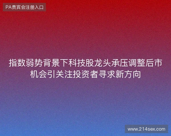 指数弱势背景下科技股龙头承压调整后市机会引关注投资者寻求新方向